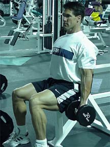 seated dumbbell biceps curl  start