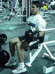 seated dumbbell biceps curl end