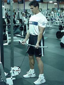 standing cable bicep curl start
