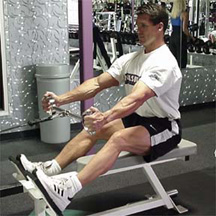 seated low cable row start