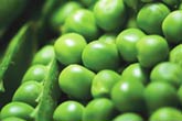 nutrition articles