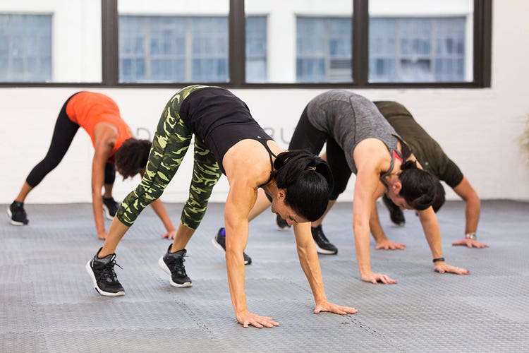 3_Plank-Down-Dog