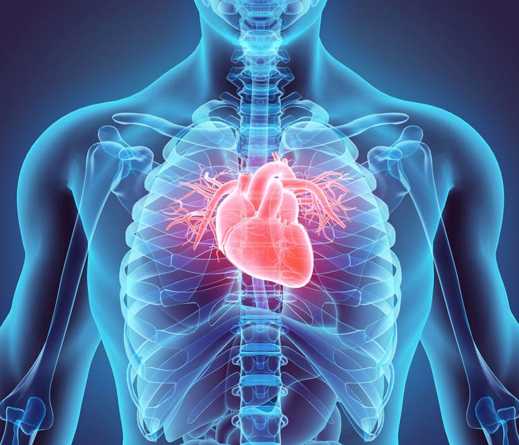 X-ray Heart