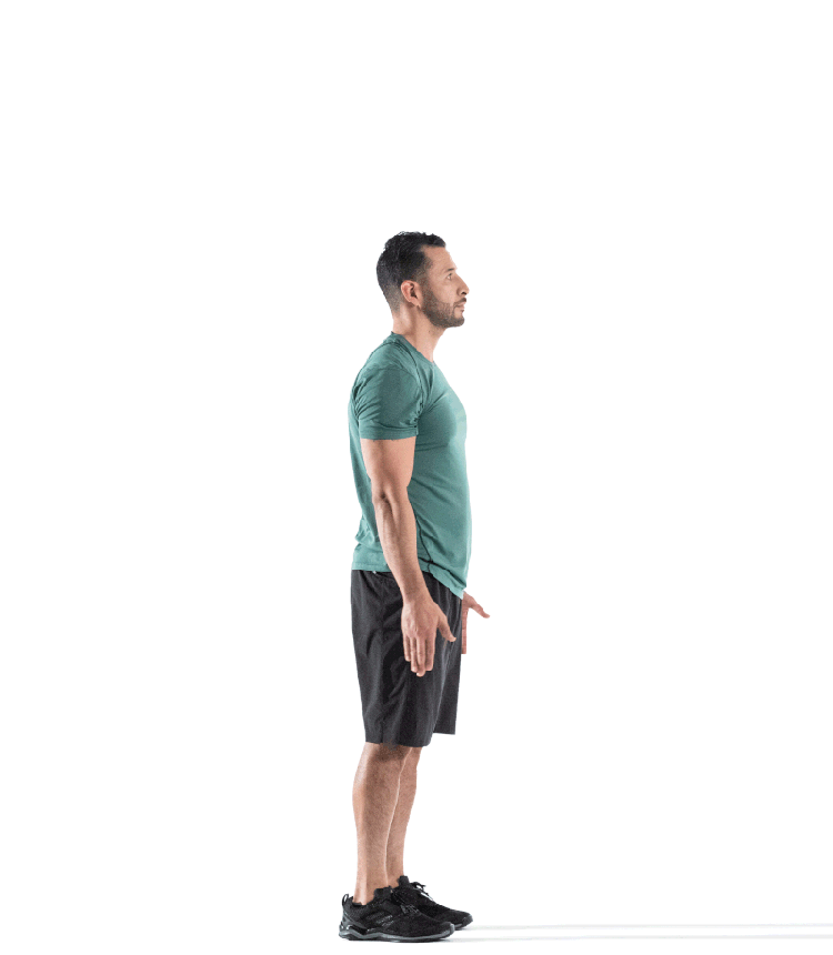 Calf Raises and Arm Swings Animated