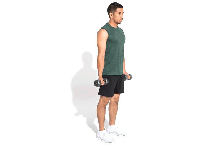 GIF of Zottman Curl exercise