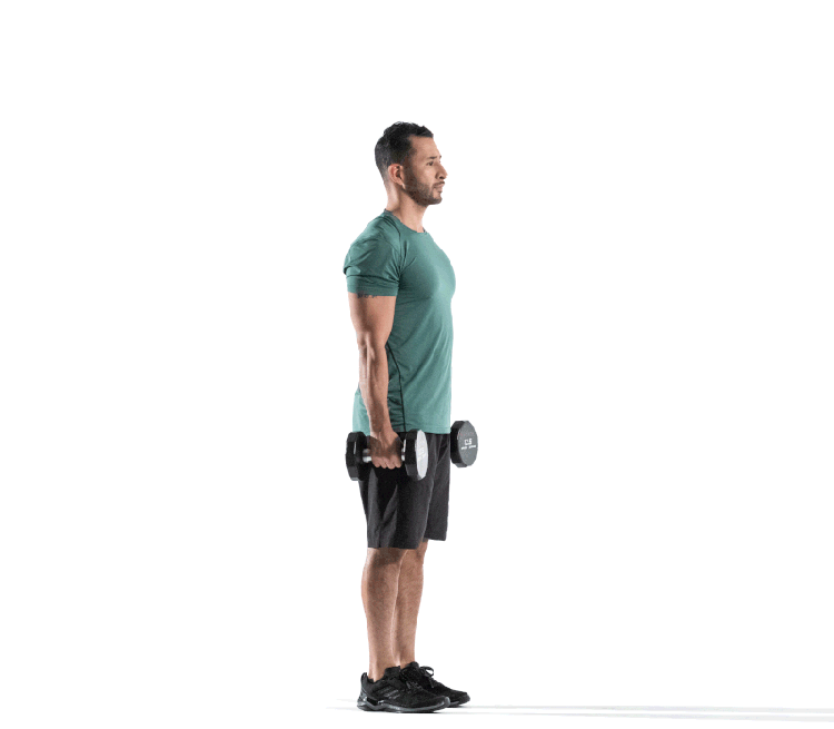 GIF: Man demonstrates Dumbbell Split Squat with Biceps Curl