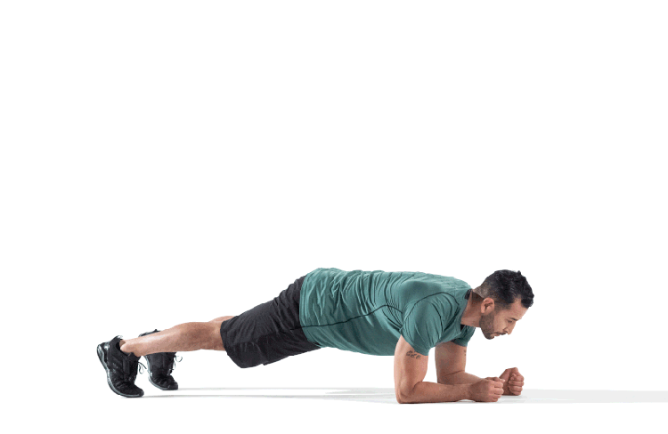 Elbow Plank with Hip Dips Animated