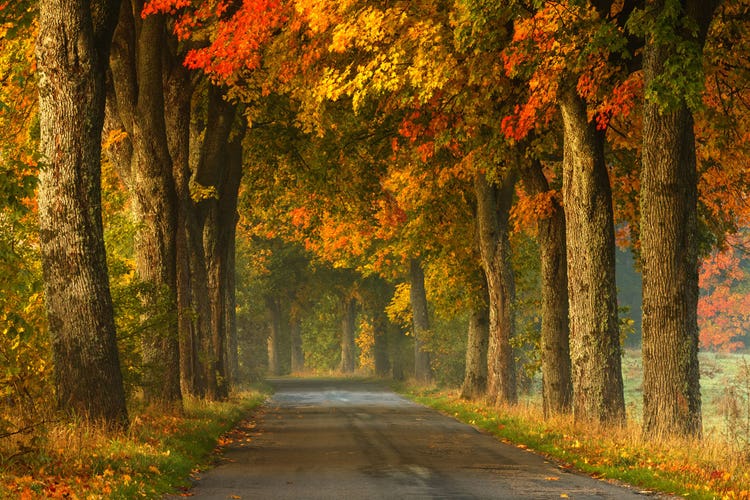 cover-get-rid-of-limiting-beliefs-country-road