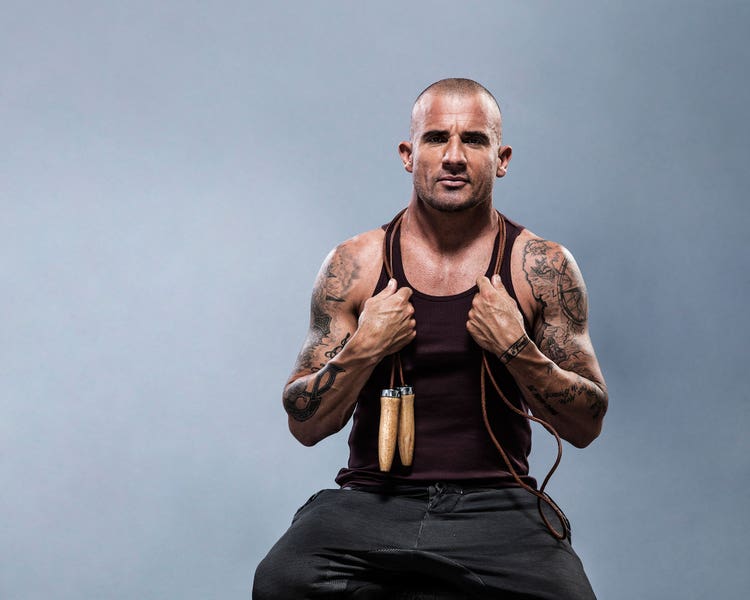 dominic-purcell-v5