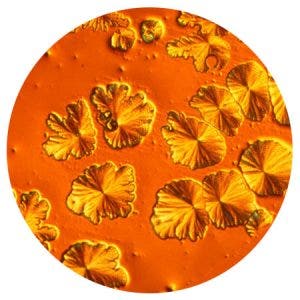 cells1