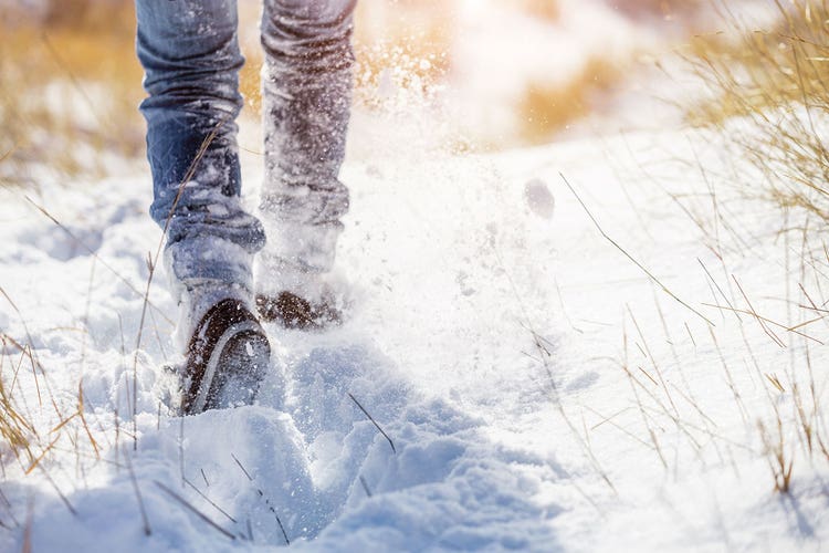 2-walking-through-the-snow