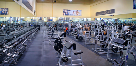 24 Hour Fitness, Club 552 - Laguna Sport, Sacremento, CA. 11/18/15.