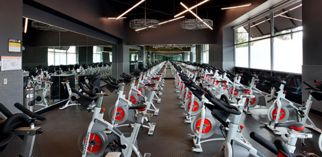 24 hour fitness spin bikes hotsell