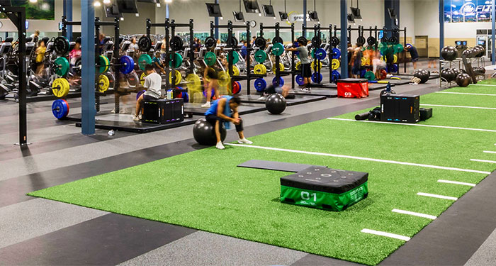 Top-tier Equipment & Turf 