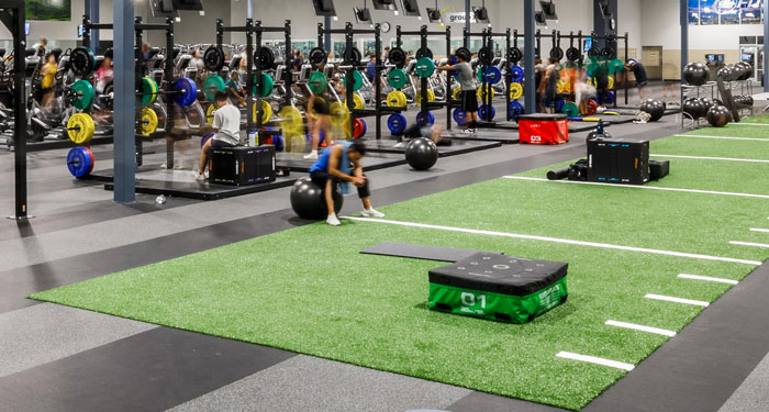 NEW TURF & EQUIPMENT 
