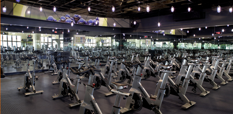 Best food to lose fat and build muscle picture 9